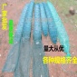 廠家蝦籠捕蝦網(wǎng)折疊漁網(wǎng)捕魚籠黃鱔籠泥鰍螃蟹籠 龍蝦網(wǎng)批發(fā)