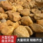 供應黃石園林景觀假山石 溪流駁岸圍邊石 A級景觀工程用石黃蠟石